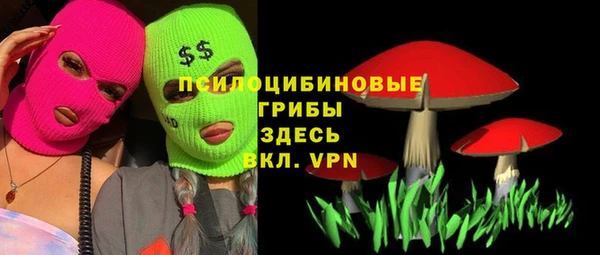 молекула духа Белокуриха