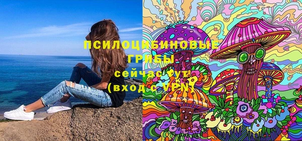 молекула духа Белокуриха